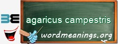 WordMeaning blackboard for agaricus campestris